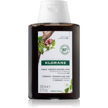 Klorane Quinine & Edelweiss Bio sampon fortifiant impotriva caderii parului