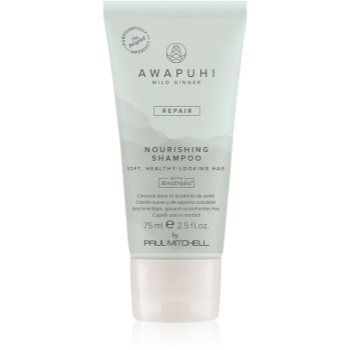 Paul Mitchell Awapuhi Wild Ginger Repair Nourishing Shampoo sampon hranitor pentru intarirea firului de par