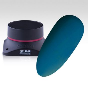 Gel Color 2M fara fixare Nr. 69