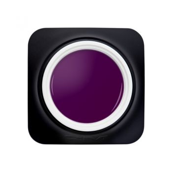 Gel Color 2M fara fixare Nr. 81
