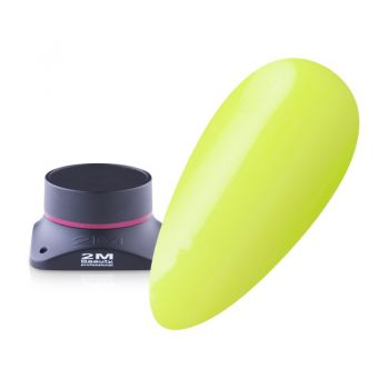 Gel Color 2M Nr.075