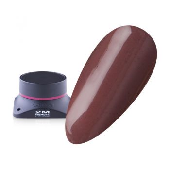 Gel Color 2M Nr.164