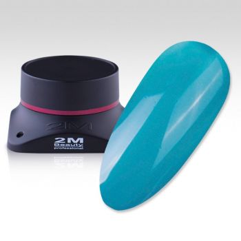 Gel Color 2M Nr.353