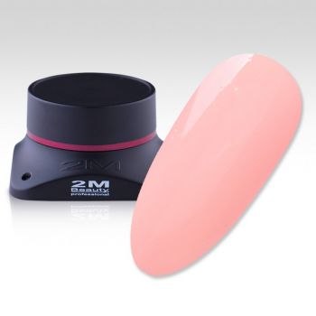 Gel Color 2M Nr.404