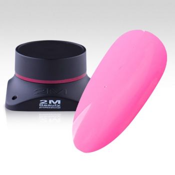Gel Color 2M Nr.406