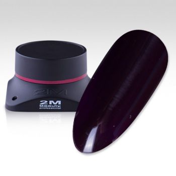 Gel Color 2M Nr.477