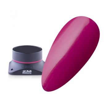 Gel Color 2M Nr.881
