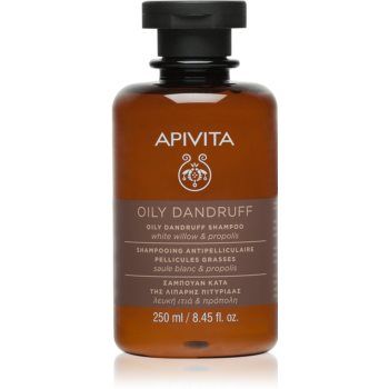 Apivita Holistic Hair Care White Willow & Propolis sampon anti-matreata pentru par gras