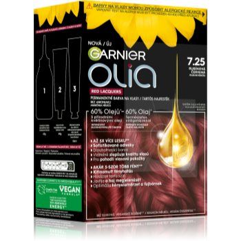 Garnier Olia Big Kit Culoare permanenta pentru par