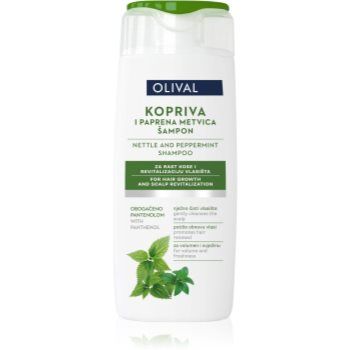 Olival Treatment Nettle and Peppermint sampon pe baza de plante cu menta