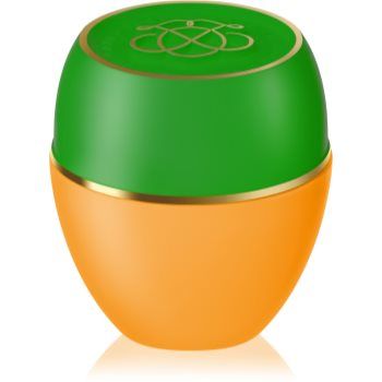 Oriflame Tender Care Sweet Mandarin balsam de buze cu ceara de albine
