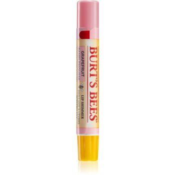 Burt’s Bees Lip Shimmer lip gloss