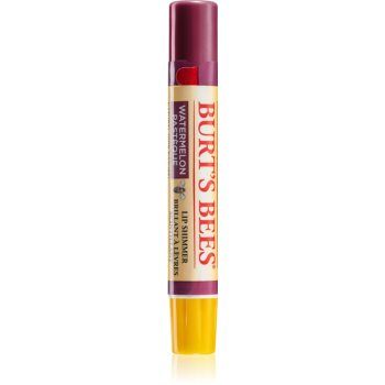 Burt’s Bees Lip Shimmer lip gloss