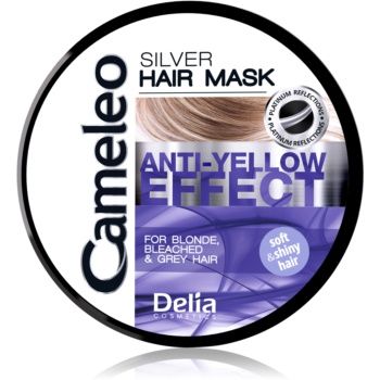 Delia Cosmetics Cameleo Silver Masca de par neutralizeaza tonurile de galben ieftina