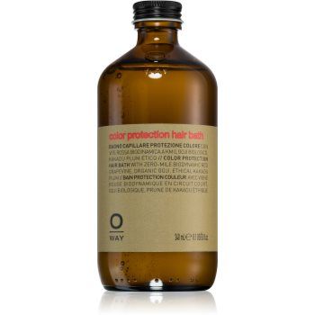 Oway ColorUp Hair Bath șampon pentru par vopsit sau suvitat