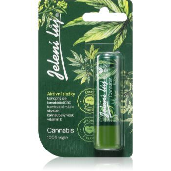 Regina Cannabis balsam de buze