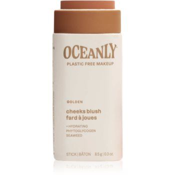 Attitude Oceanly Plastic Free Makeup bronzer solid