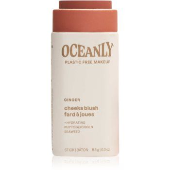 Attitude Oceanly Plastic Free Makeup fard de obraz solid cremos pentru piele uscata spre sensibila