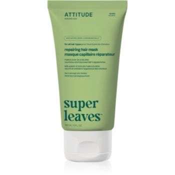 Attitude Super Leaves Fabulous Oils Blend masca hranitoare pentru par normal spre uscat