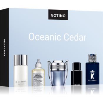 Beauty Discovery Box Notino Oceanic Cedar set pentru bărbați