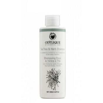 SHORT LIFE - Sampon cu Tea Tree si Plante Anti Matreata, Odylique by Essential Care, 200 ml