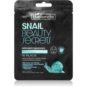 Bielenda Snail Beauty Secrets masca pentru regenerare pentru ten acneic