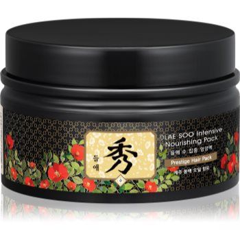 DAENG GI MEO RI Dlae Soo Intensive Nourishing Pack mască hrănitoare profundă pentru par deteriorat