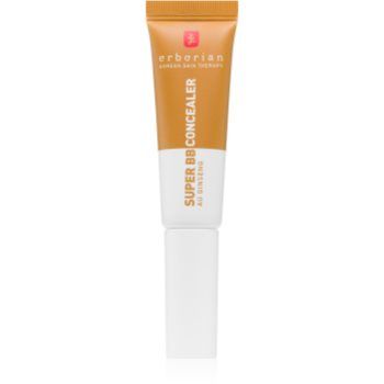 Erborian Super BB Concealer hidratant anticearcan pentru acoperire medie spre maxima
