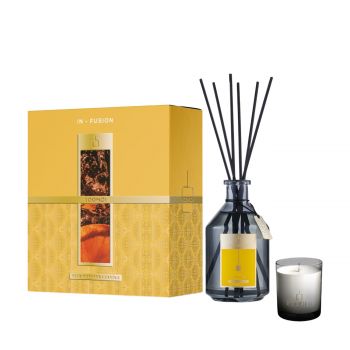 In-fusion set  660 ml