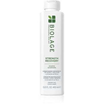 Biolage Strength Recovery sampon fortifiant