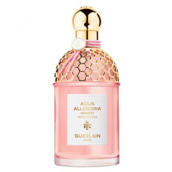 Guerlain Aqua Allegoria Rosa Rossa (Refillable) EDT, Volum 125 ml