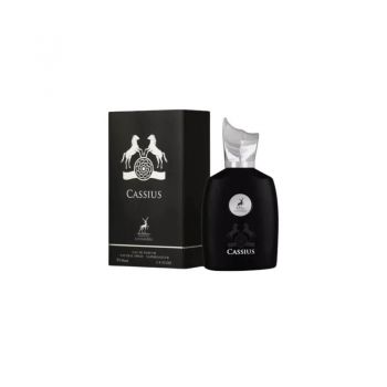 Alhambra Perseus Men EDP, Volum 100 ml