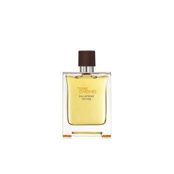 Hermes Terre d`Hermes Eau Intense Vetiver EDP, Volum 100 ml