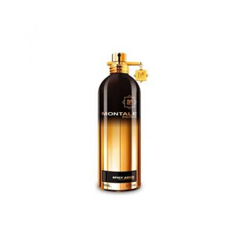 Montale Spicy Aoud EDP, Volum 100 ml