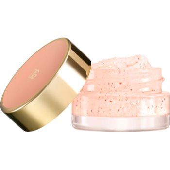 Dolce&Gabbana Fresh Skin Nouri-Lip Berry Scrub exfoliant delicat si hidratant de buze