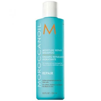 Moroccanoil Moisture Repair Shampoo Sampon pentru parul epuizat tratat chimic, Volum 250 ml