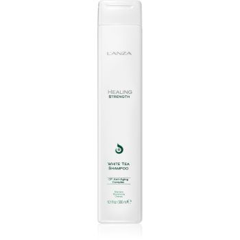 L'anza Healing Strength White Tea Shampoo șampon pentru parul deteriorat si fragil