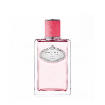 Infusion de rhubarbe 100 ml