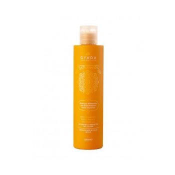 Sampon revitalizare culoare par blond, Hyalurvedic Gyada, 200 ml