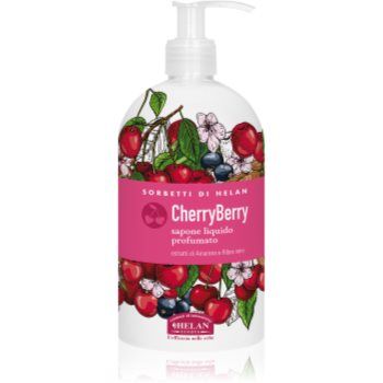 Helan CherryBerry sapun lichid delicat pentru maini
