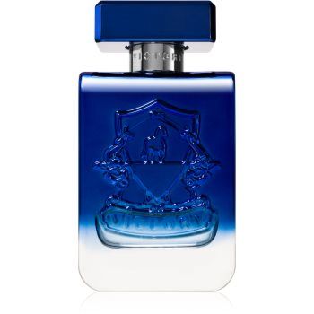 Victory Radiant Eau de Parfum unisex