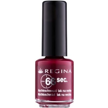 Regina Nails 66 Sec. lac de unghii cu uscare rapida