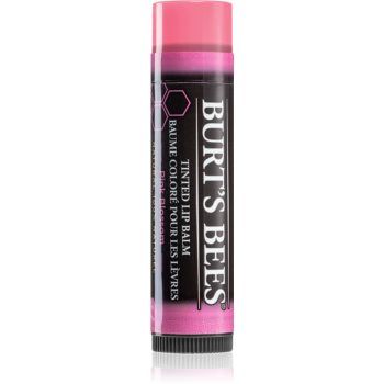 Burt’s Bees Tinted Lip Balm balsam de buze