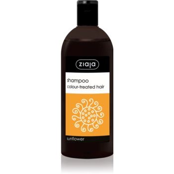 Ziaja Family Shampoo șampon pentru păr vopsit