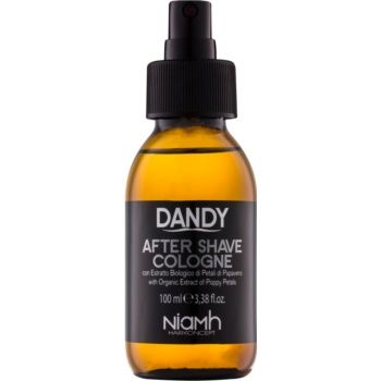 DANDY After Shave after shave de firma original