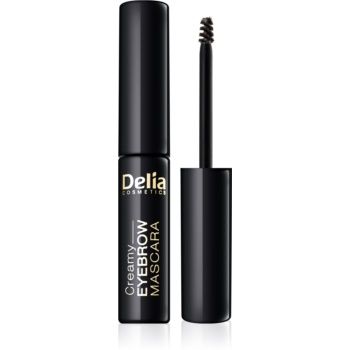 Delia Cosmetics Eyebrow Expert mascara pentru sprâncene