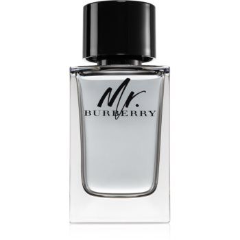 Burberry Mr. Burberry Eau de Toilette pentru bărbați