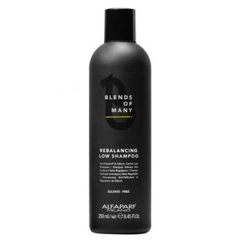 Sampon Reechilibrant Antimatreata si pentru Controlul Sebumului - Alfaparf Milano Blends of Many Rebalancing Low Shampoo, 250ml