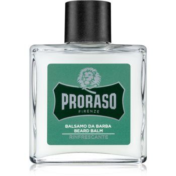 Proraso Green balsam pentru barba ieftin