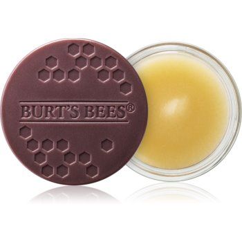 Burt’s Bees Lip Treatment tratament de noapte intensiv de buze